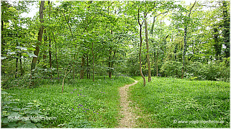 Bild des Monats von Klang-Schalen-Massage in Ingelheim und Offenbach