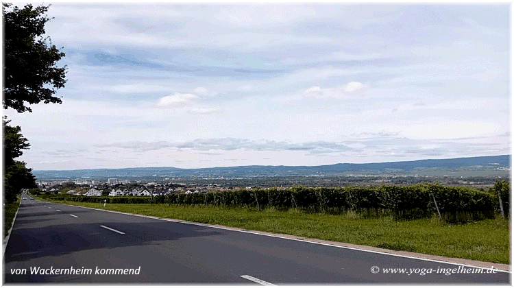 Bild des Monats von Klang-Schalen-Massage in Ingelheim und Offenbach