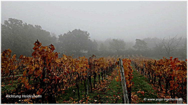 Bild des Monats von Klang-Schalen-Massage in Ingelheim und Offenbach