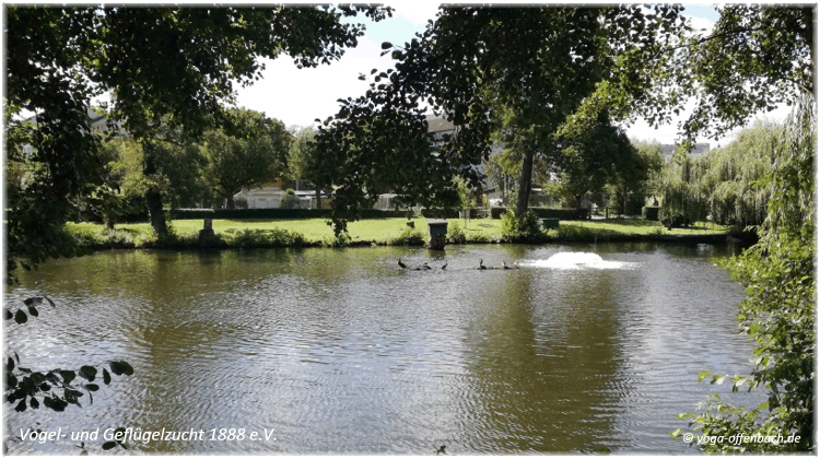 Bild des Monats von Klang-Schalen-Massage in Ingelheim und Offenbach