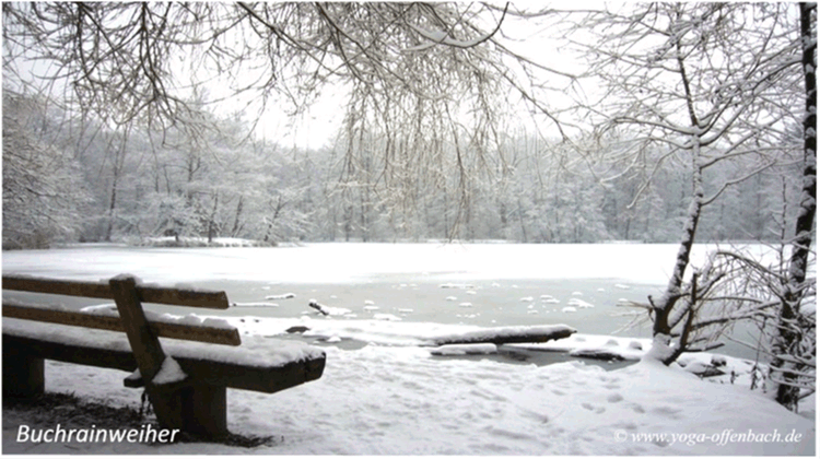 Bild des Monats von Klang-Schalen-Massage in Ingelheim und Offenbach